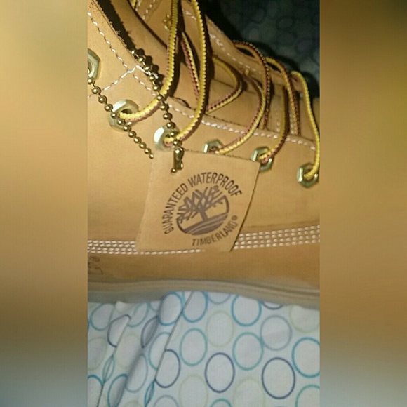 Timberlands - Picture 3 of 4